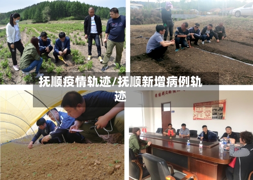 抚顺疫情轨迹/抚顺新增病例轨迹