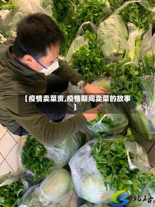 【疫情卖菜贵,疫情期间卖菜的故事】-第1张图片