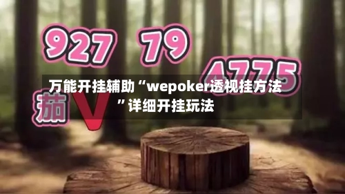 万能开挂辅助“wepoker透视挂方法”详细开挂玩法