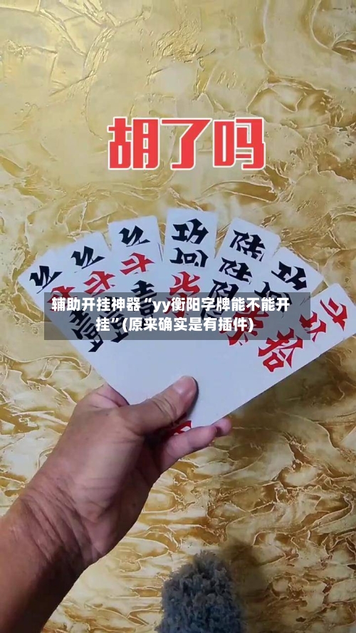 辅助开挂神器“yy衡阳字牌能不能开挂”(原来确实是有插件)-第1张图片