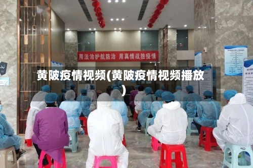 黄陂疫情视频(黄陂疫情视频播放)