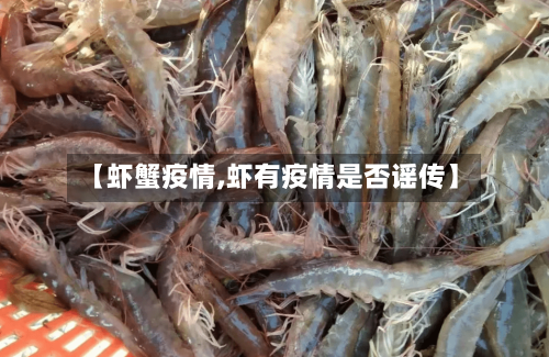 【虾蟹疫情,虾有疫情是否谣传】