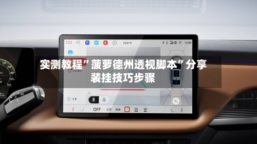 实测教程	”菠萝德州透视脚本”分享装挂技巧步骤-第1张图片