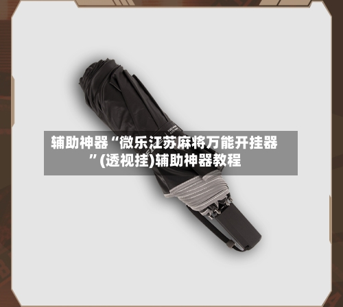辅助神器“微乐江苏麻将万能开挂器”(透视挂)辅助神器教程-第2张图片