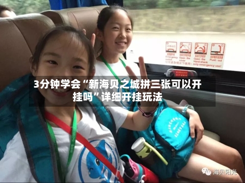 3分钟学会“新海贝之城拼三张可以开挂吗”详细开挂玩法