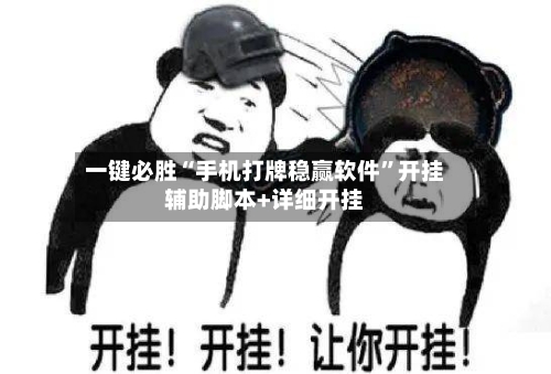 一键必胜“手机打牌稳赢软件	”开挂辅助脚本+详细开挂-第1张图片