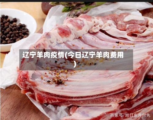 辽宁羊肉疫情(今日辽宁羊肉费用)