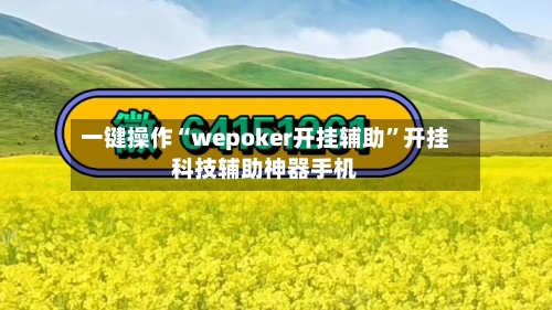 一键操作“wepoker开挂辅助”开挂科技辅助神器手机