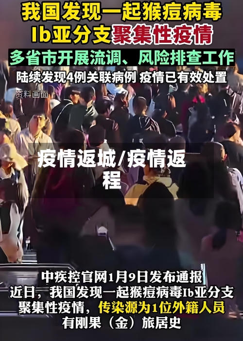 疫情返城/疫情返程