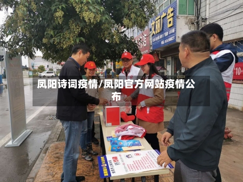 凤阳诗词疫情/凤阳官方网站疫情公布