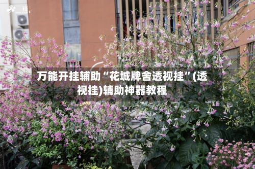 万能开挂辅助“花城牌舍透视挂”(透视挂)辅助神器教程-第1张图片