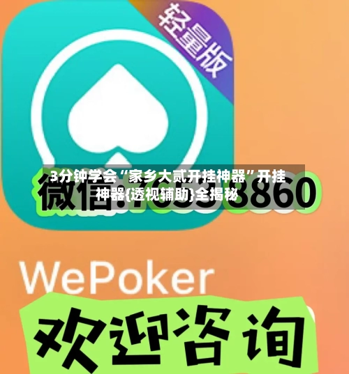 3分钟学会“家乡大贰开挂神器”开挂神器{透视辅助}全揭秘-第3张图片