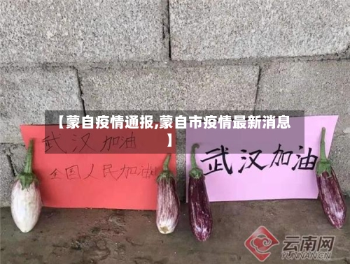 【蒙自疫情通报,蒙自市疫情最新消息】