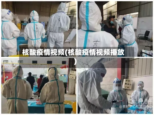 核酸疫情视频(核酸疫情视频播放)