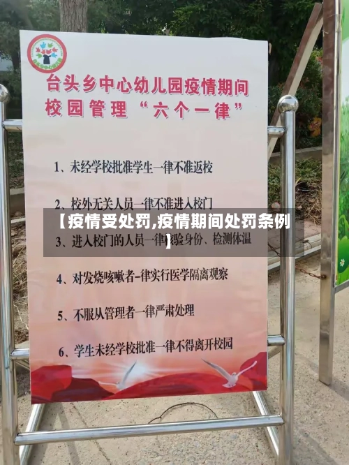 【疫情受处罚,疫情期间处罚条例】-第1张图片