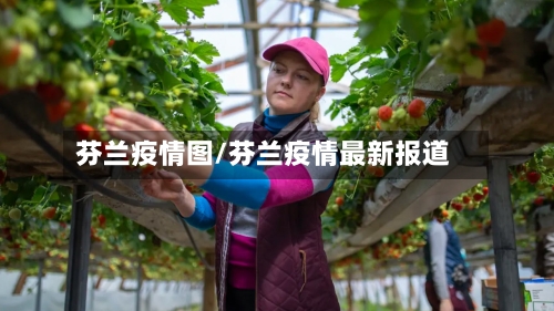 芬兰疫情图/芬兰疫情最新报道