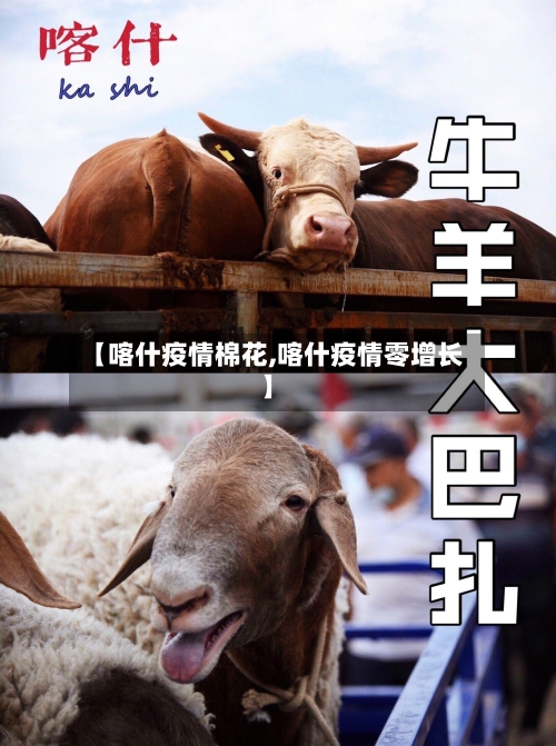 【喀什疫情棉花,喀什疫情零增长】