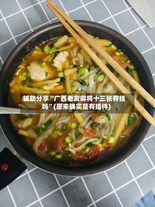辅助分享“广西老友麻将十三张有挂吗”(原来确实是有插件)-第1张图片
