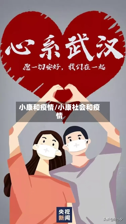小康和疫情/小康社会和疫情