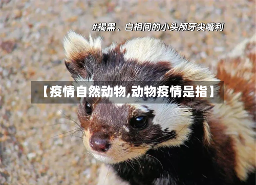 【疫情自然动物,动物疫情是指】