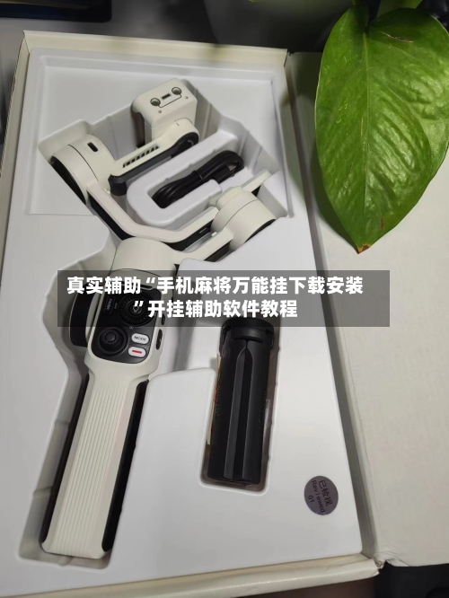 真实辅助“手机麻将万能挂下载安装	”开挂辅助软件教程-第1张图片