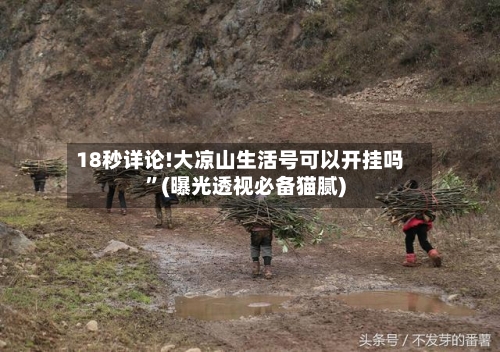 18秒详论!大凉山生活号可以开挂吗”(曝光透视必备猫腻)