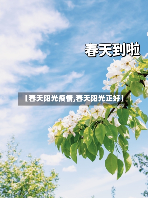 【春天阳光疫情,春天阳光正好】