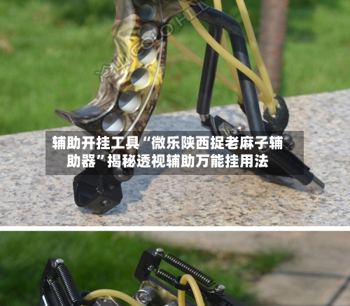 辅助开挂工具“微乐陕西捉老麻子辅助器”揭秘透视辅助万能挂用法