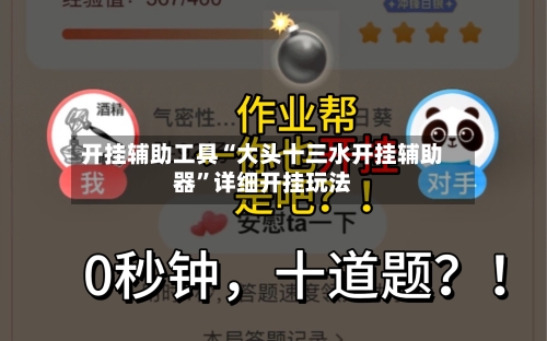 开挂辅助工具“大头十三水开挂辅助器”详细开挂玩法