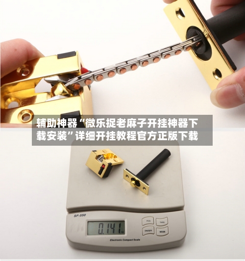 辅助神器“微乐捉老麻子开挂神器下载安装	”详细开挂教程官方正版下载-第1张图片