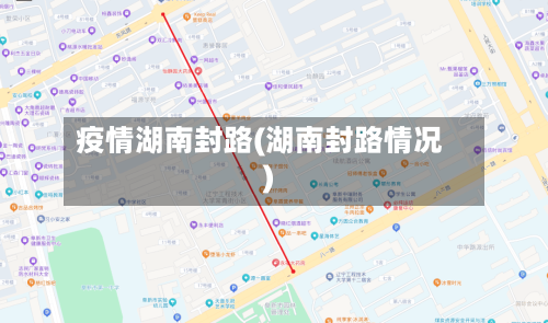 疫情湖南封路(湖南封路情况)