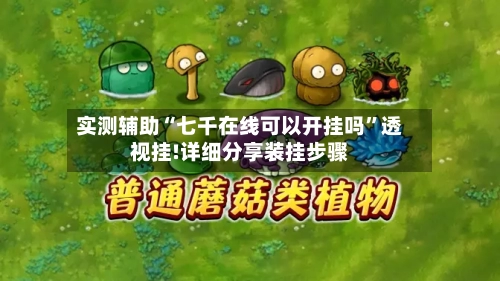实测辅助“七千在线可以开挂吗”透视挂!详细分享装挂步骤