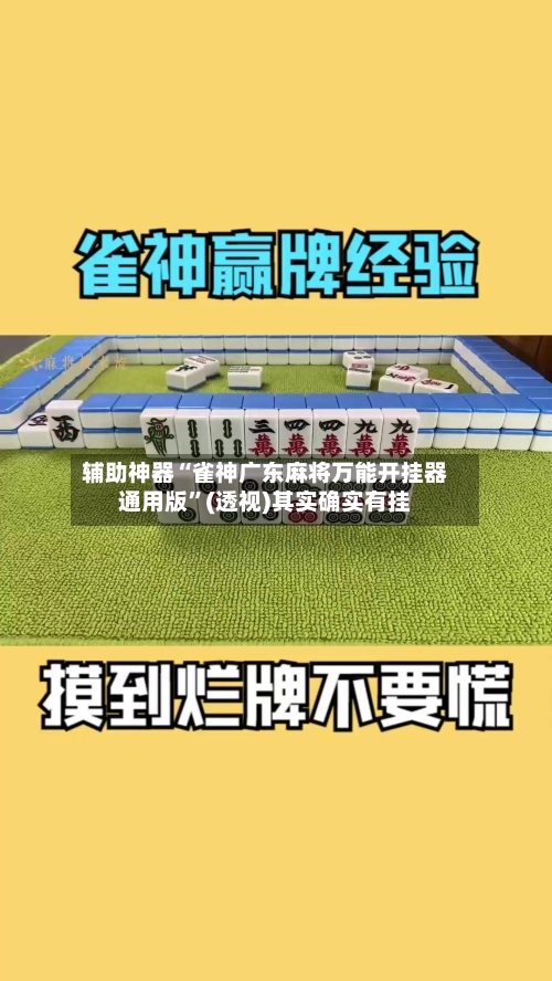 辅助神器“雀神广东麻将万能开挂器通用版”(透视)其实确实有挂