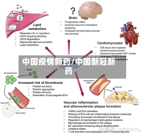 中国疫情新药/中国新冠新药