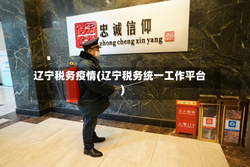 辽宁税务疫情(辽宁税务统一工作平台)