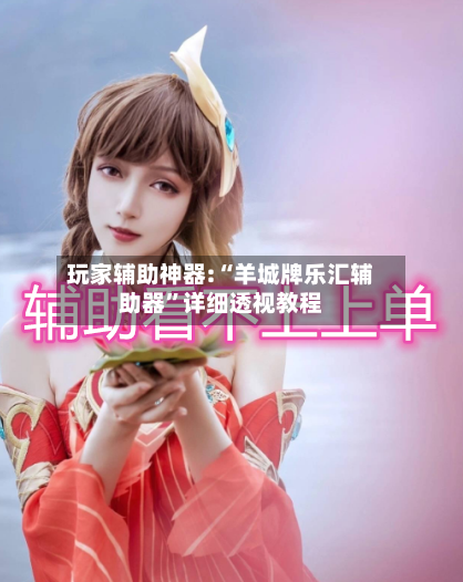 玩家辅助神器:“羊城牌乐汇辅助器”详细透视教程