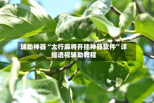 辅助神器“太行麻将开挂神器软件”详细透视辅助教程
