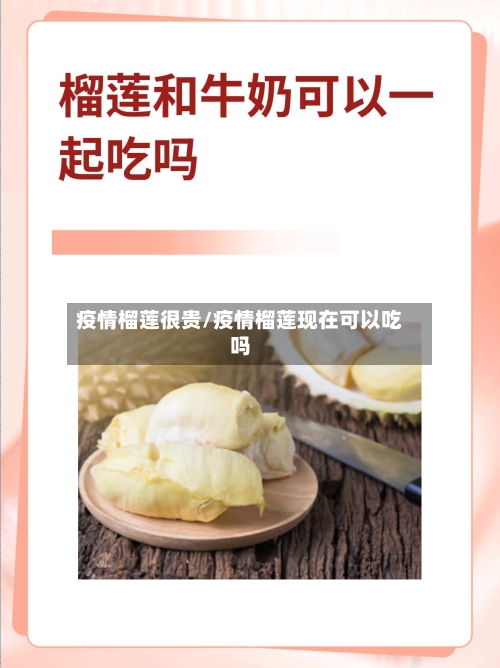 疫情榴莲很贵/疫情榴莲现在可以吃吗