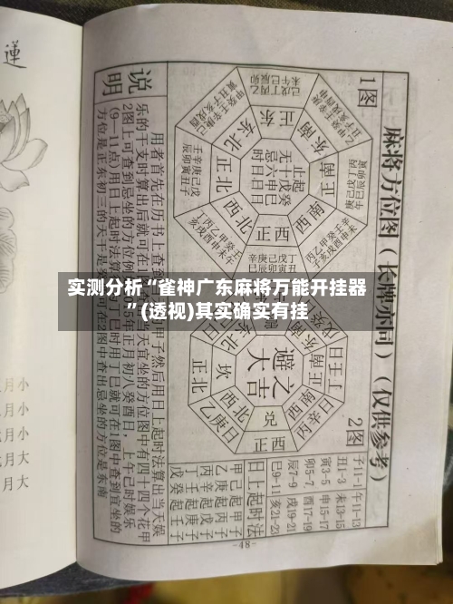 实测分析“雀神广东麻将万能开挂器”(透视)其实确实有挂