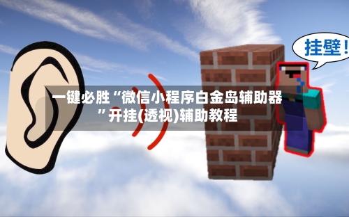 一键必胜“微信小程序白金岛辅助器”开挂(透视)辅助教程-第1张图片