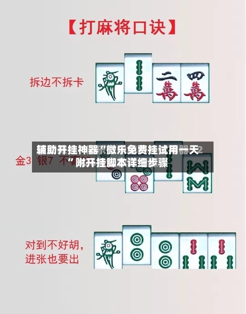 辅助开挂神器“微乐免费挂试用一天	”附开挂脚本详细步骤-第2张图片