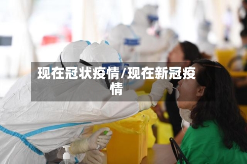 现在冠状疫情/现在新冠疫情