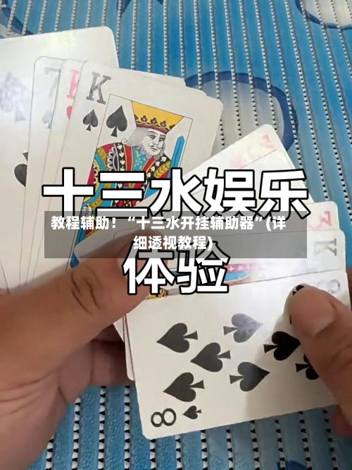 教程辅助！“十三水开挂辅助器”(详细透视教程)