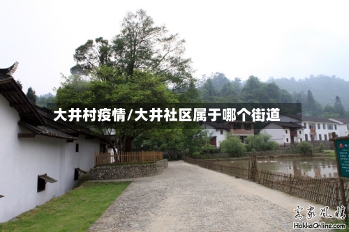 大井村疫情/大井社区属于哪个街道