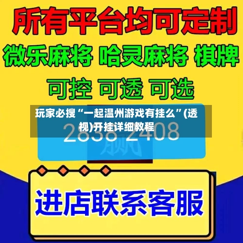 玩家必搜“一起温州游戏有挂么	”(透视)开挂详细教程-第1张图片
