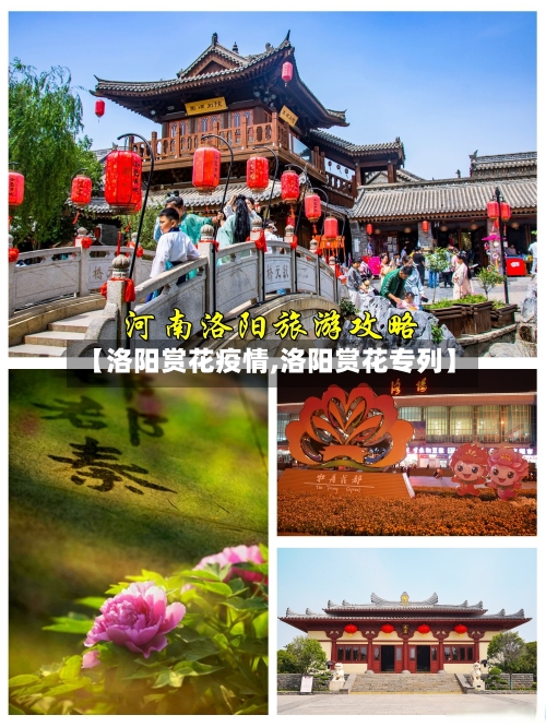 【洛阳赏花疫情,洛阳赏花专列】