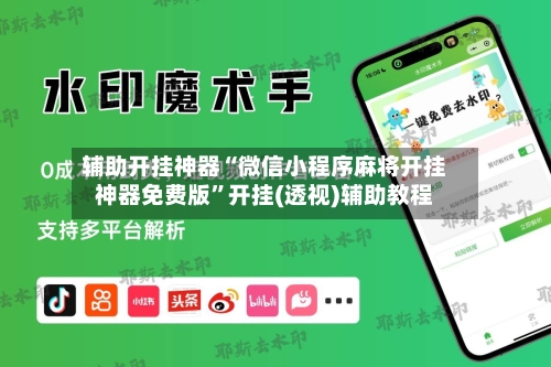 辅助开挂神器“微信小程序麻将开挂神器免费版”开挂(透视)辅助教程-第2张图片