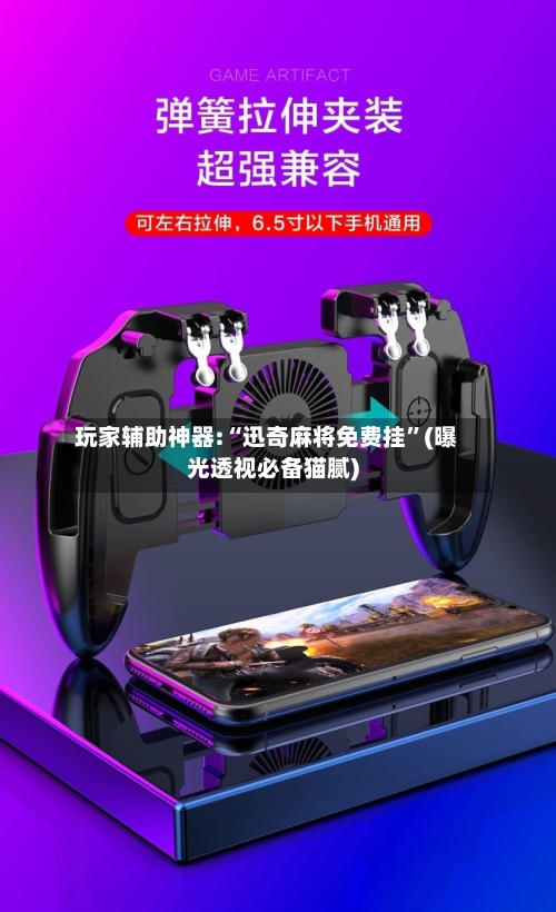 玩家辅助神器:“迅奇麻将免费挂”(曝光透视必备猫腻)