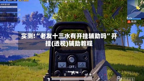 实测!“老友十三水有开挂辅助吗”开挂(透视)辅助教程