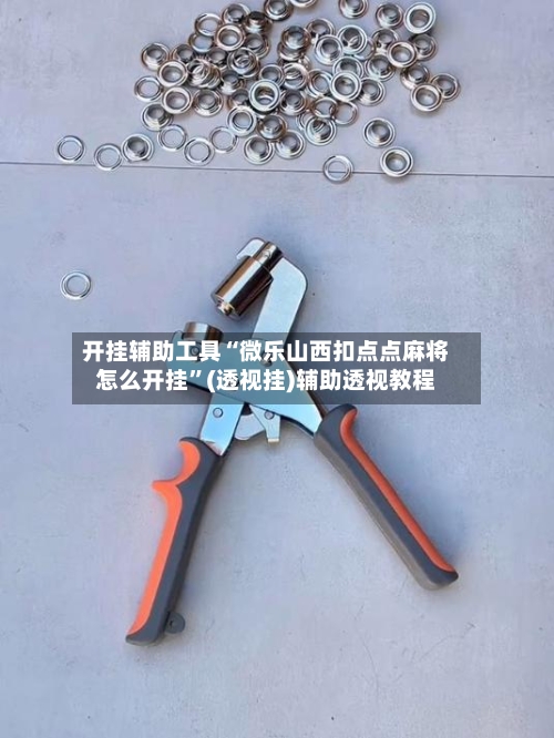 开挂辅助工具“微乐山西扣点点麻将怎么开挂”(透视挂)辅助透视教程